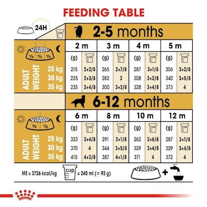 how much to feed a golden retriever puppy by age?