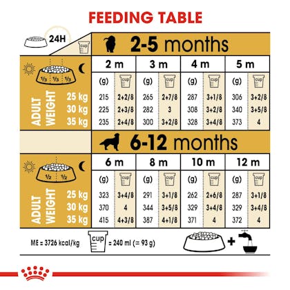BHN-PuppyGoldenRetriever-CV-EretailKit-5