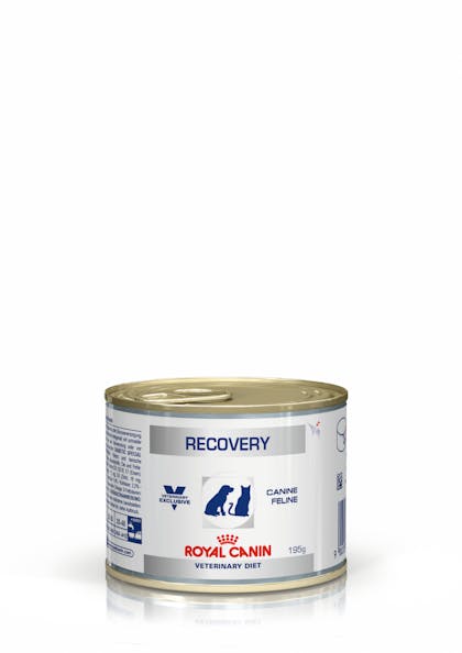 Royal canin recovery rs sale