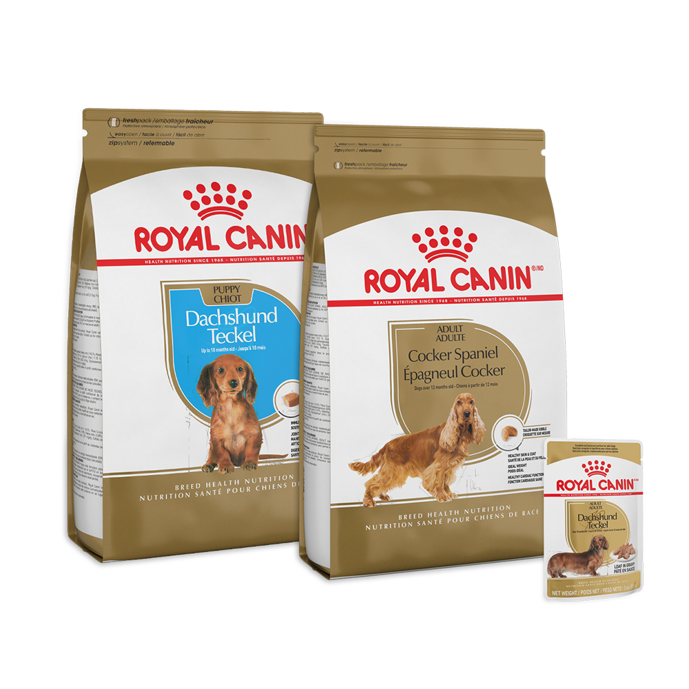 Royal Canin dog food - Health nutrition for dogs | Royal Canin US