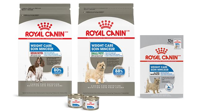 Packshots of three Royal Canin dog Weight Care products