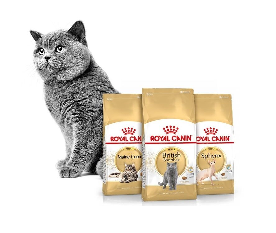 Contractie Zakje merk Contact Us | Royal Canin US