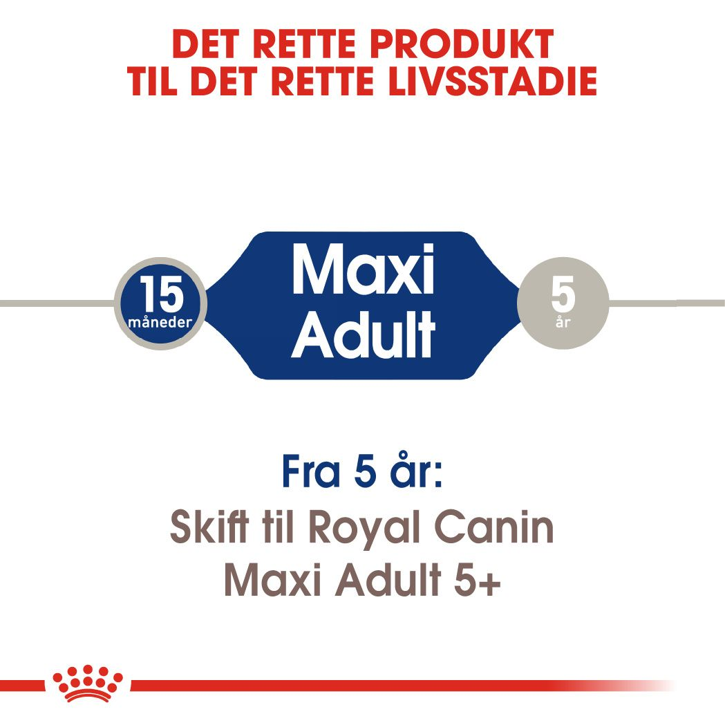 Maxi Adult