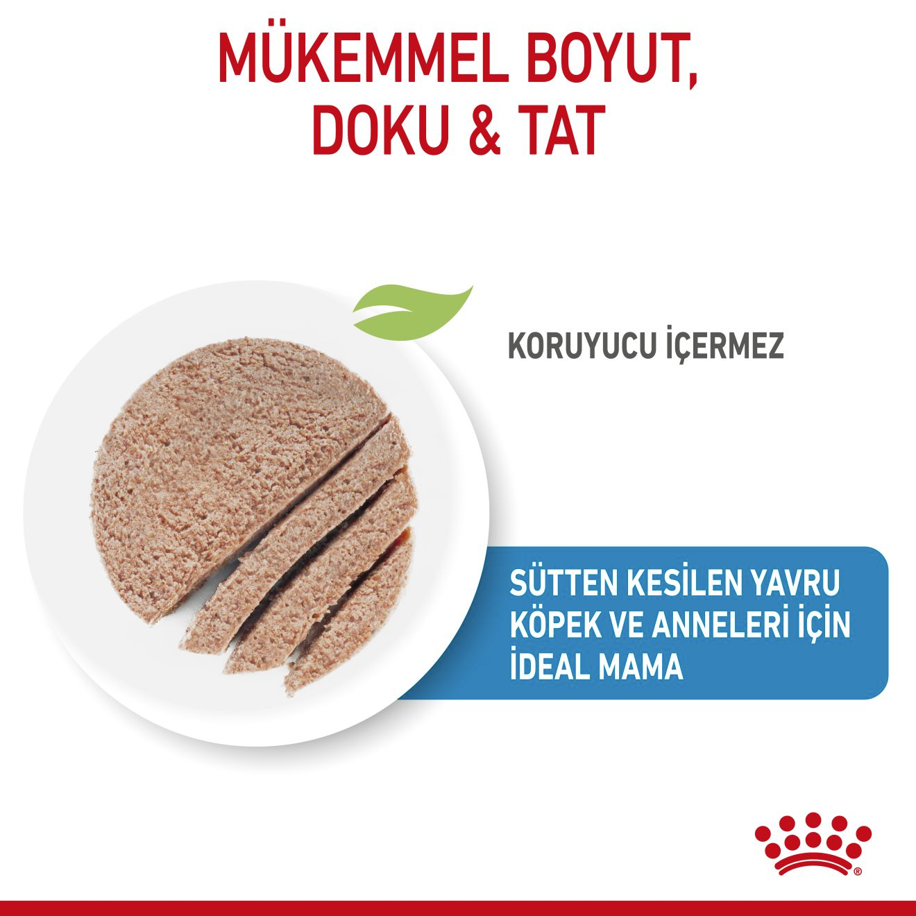 Starter Mousse Mother And Babydog Anne ve Yavru Köpek Yaş Maması