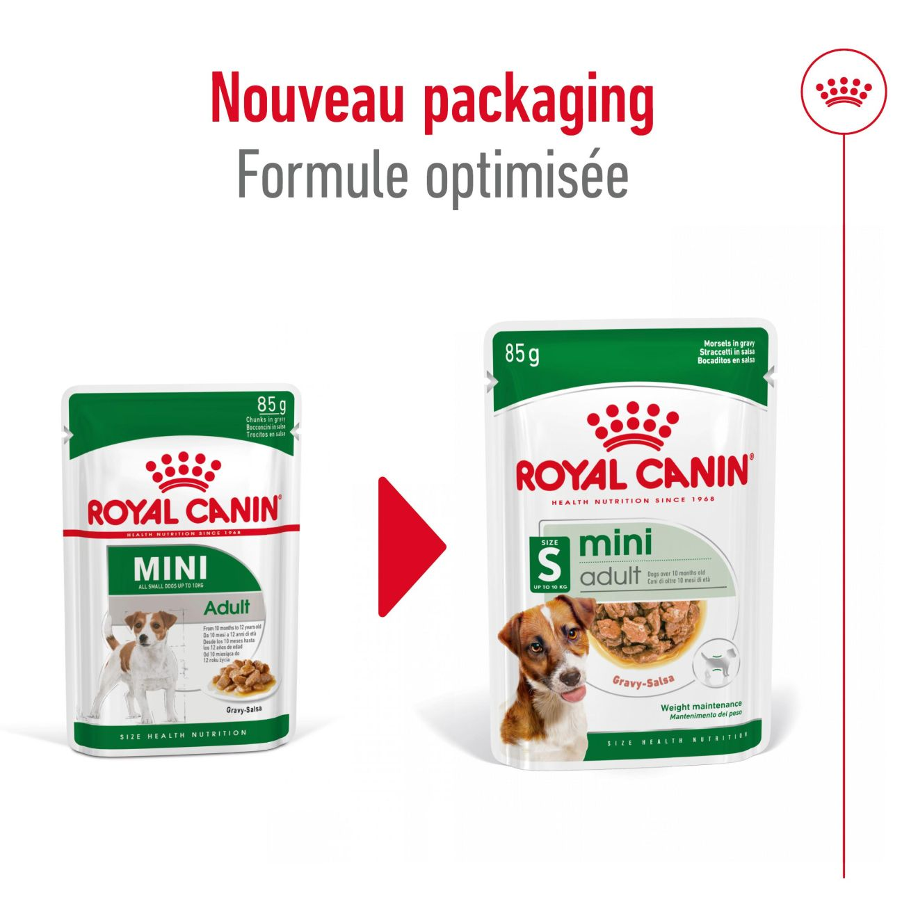 Mini Adult en sauce