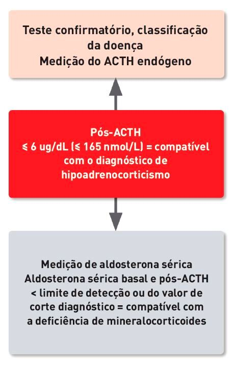 Algoritmo diagnóstico para uma avaliação mais aprofundada do estado dos hormônios adrenais em cães com hipoadrenocorticismo atípico