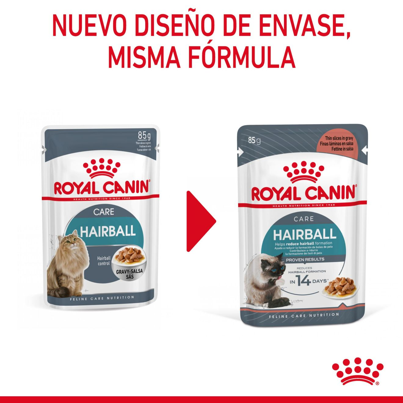 Hairball Care Finas láminas en salsa