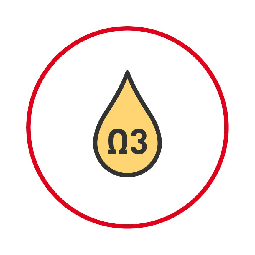 Omega 3 fatty acids illustration