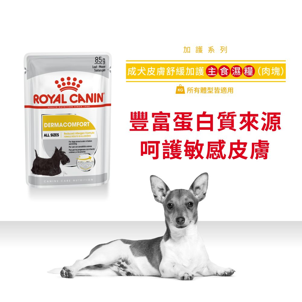 CCN 成犬皮膚舒緩加護主食濕糧（肉塊）