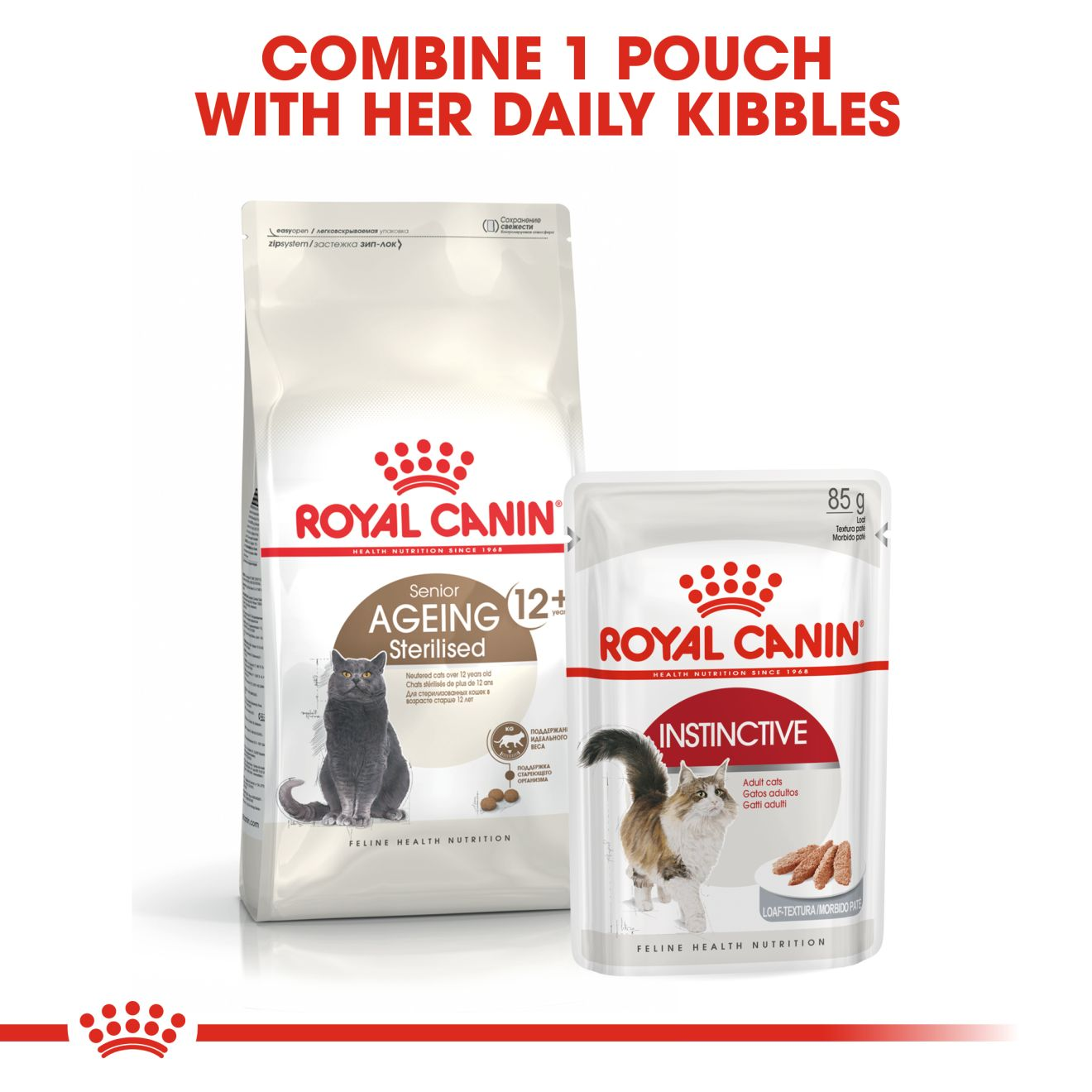 Royal canin discount for senior cats