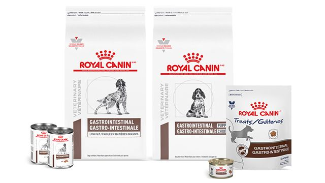 Sensitive Stomach - Royal Canin