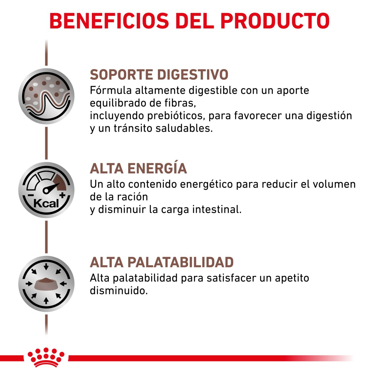 Gastrointestinal Salsa