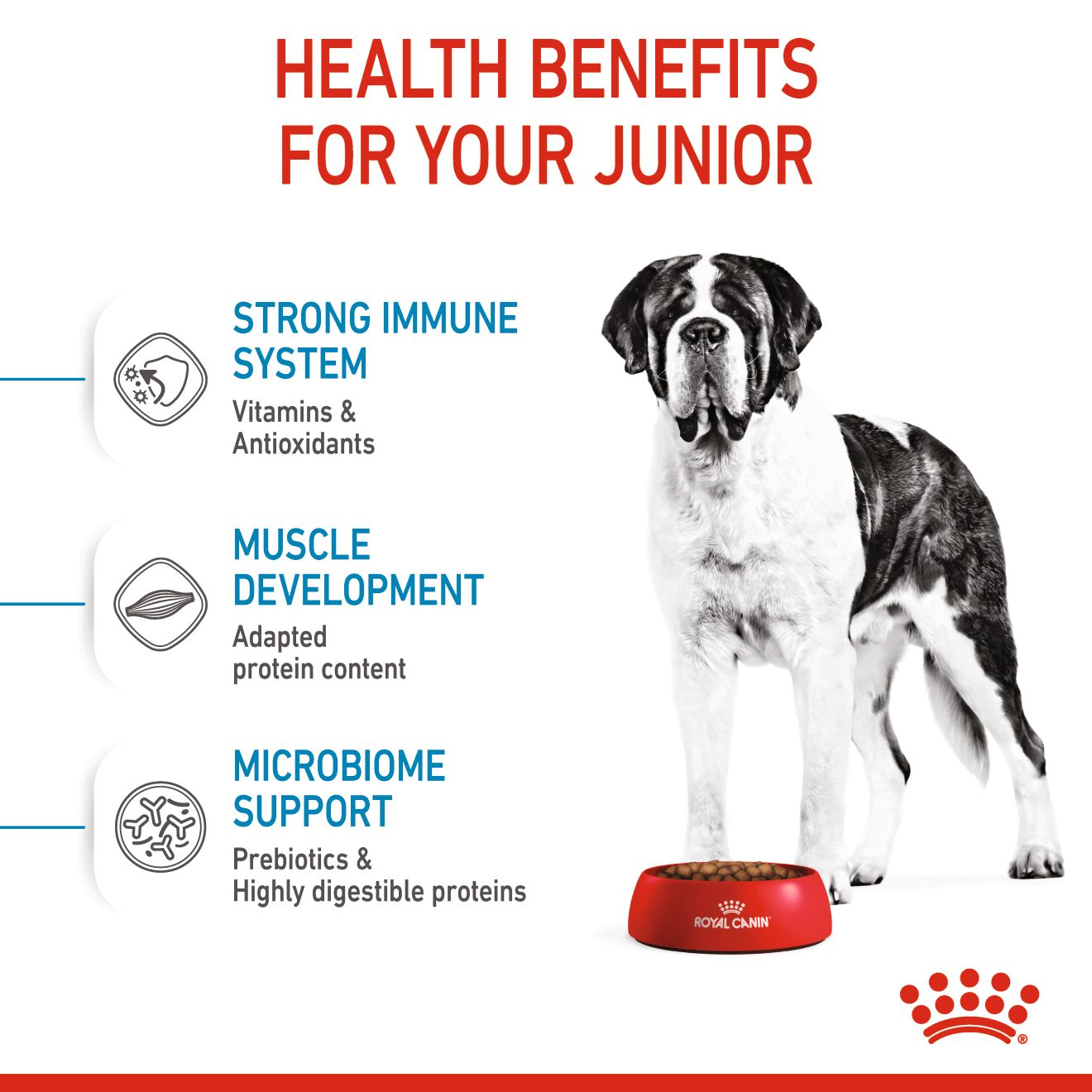 Junior large breed dog food sale