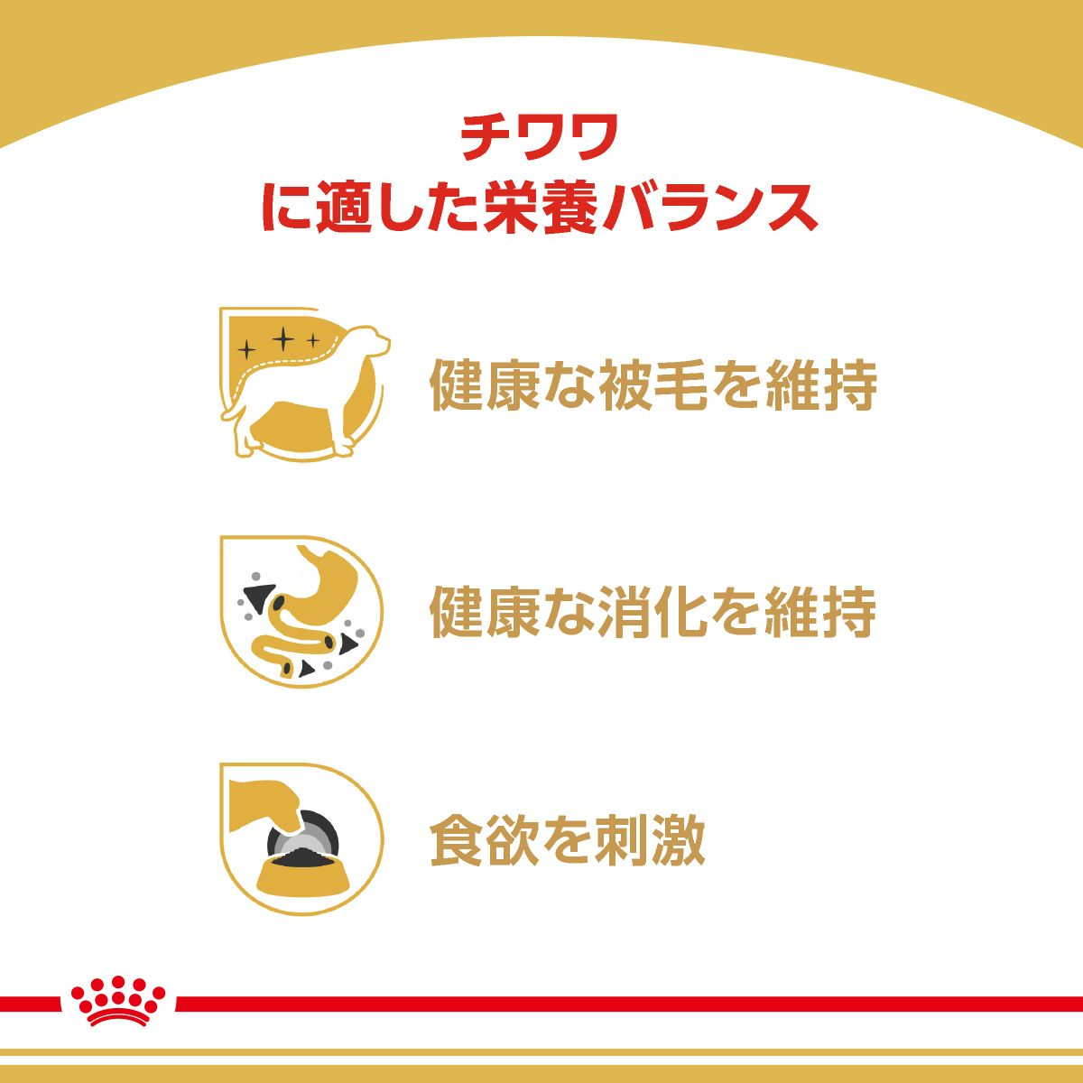  CANIN チワワ用ウェットフード36個【賞味期限2025.12月】 71ohYd+yofL._UF350,350_QL50_.jpg