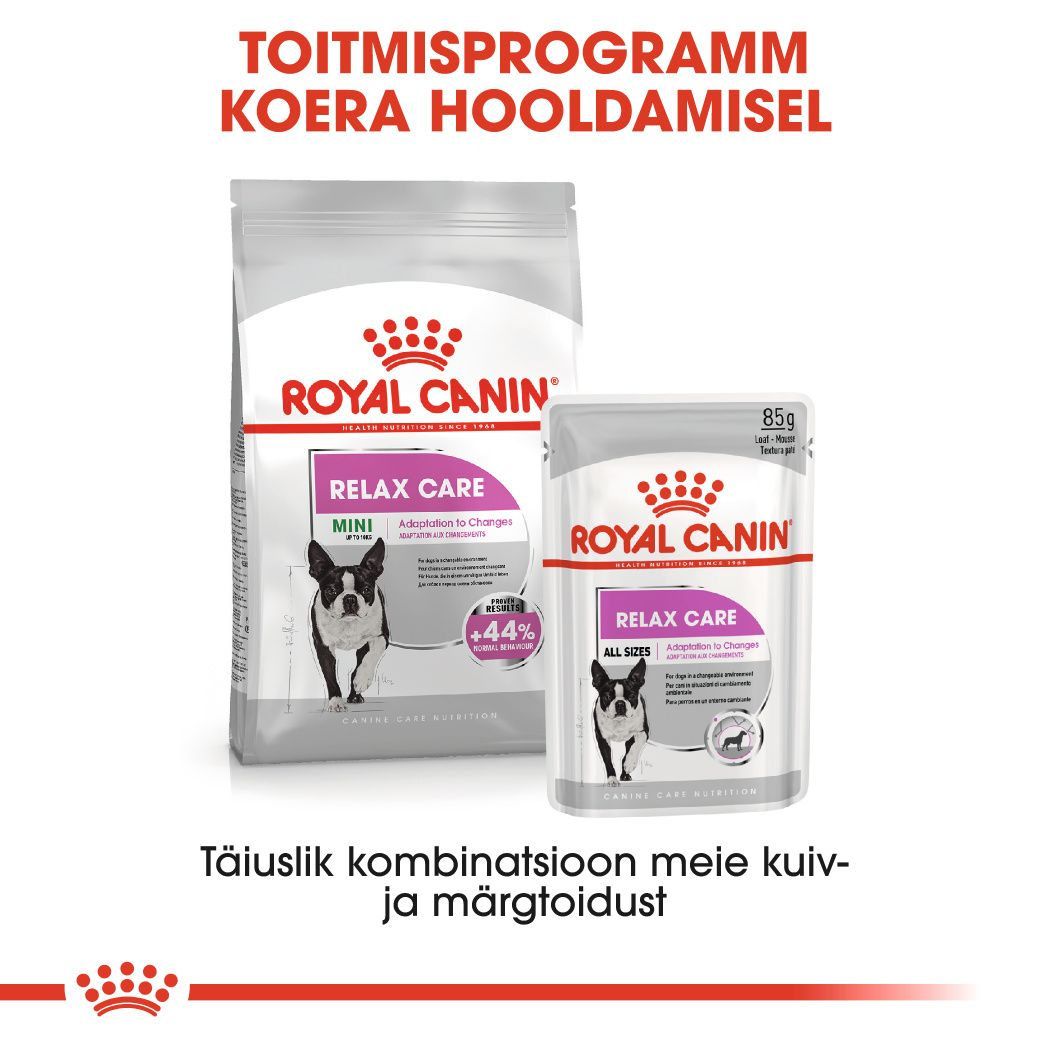 Royal Canin Mini Relax Care kuivtoit