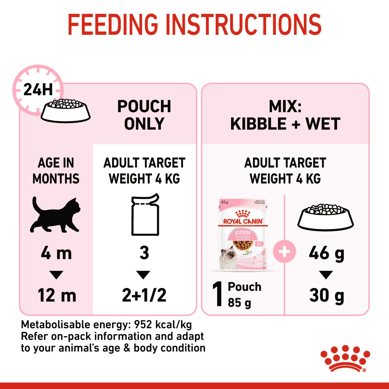 Kitten food chart hotsell