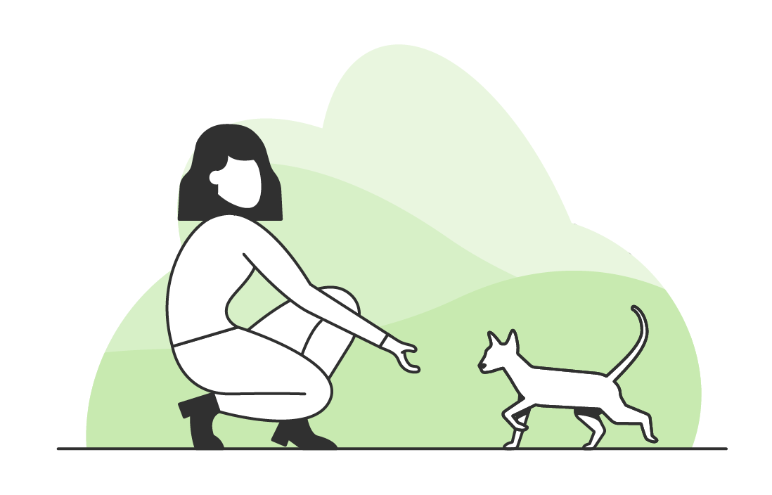 Illustration of a woman crouching down outdoors, reaching out to a cat