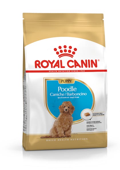 músculo Joya Enumerar Poodle Puppy dry | Royal Canin