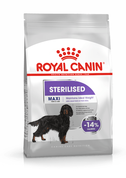 MAXI STERILISED CCN PACKSHOT