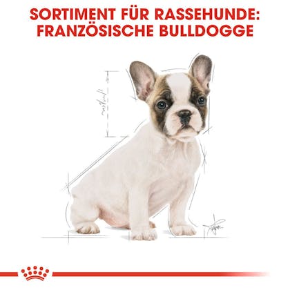 RC-BHN-Puppy-French-Bulldog-Trockennahrung_Sortiment_DE