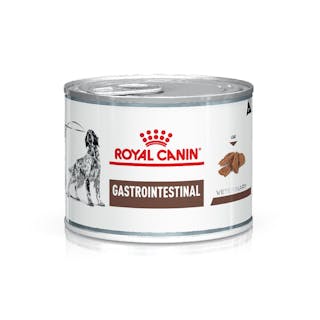 Gastrointestinal Canine
