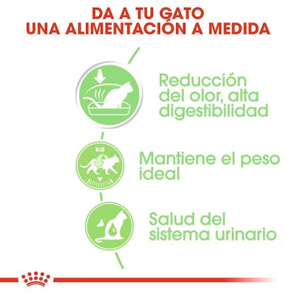 BENEFICIOS
