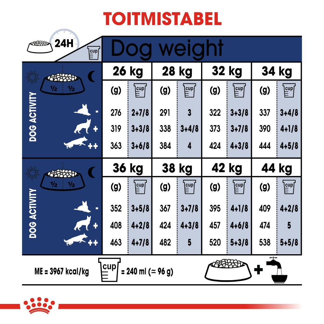 Royal Canin Maxi Adult kuivtoit