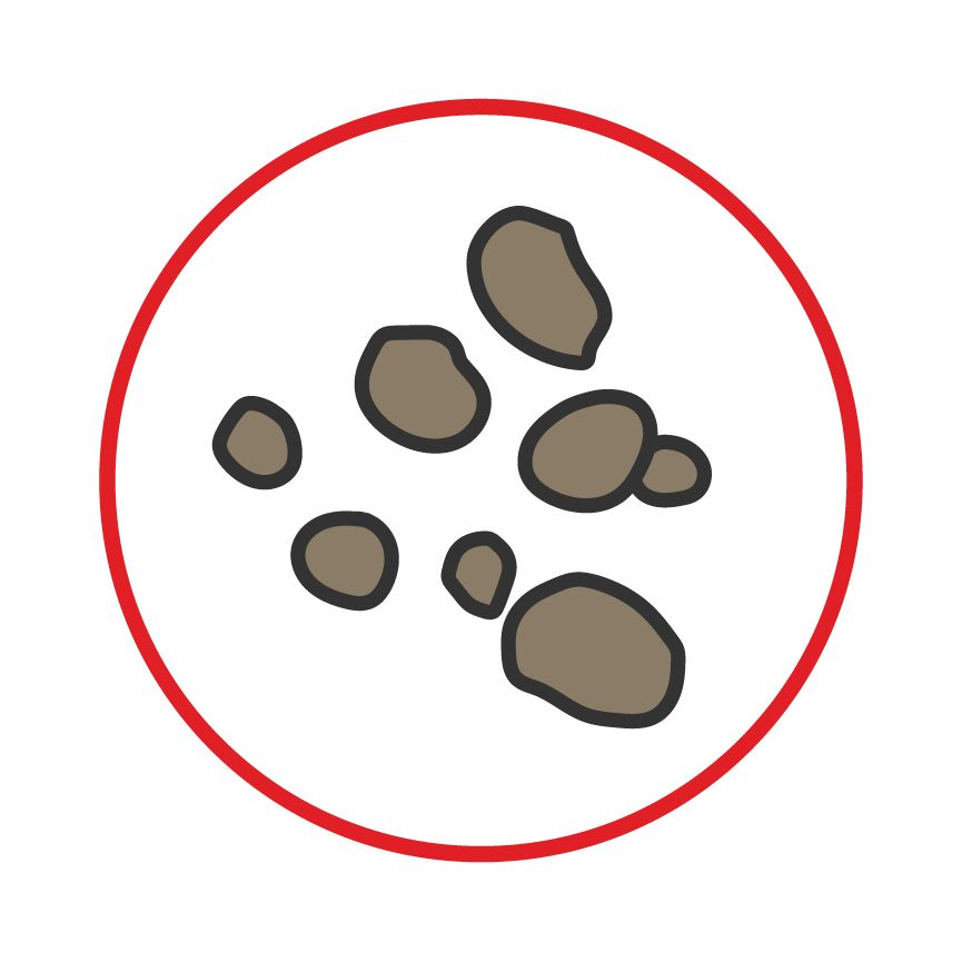 Illustration of pebble shaped poop