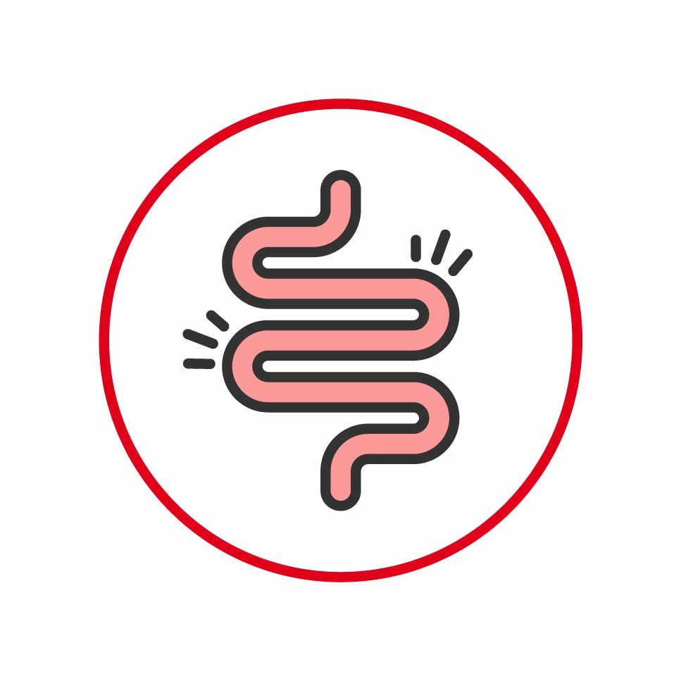 Illustration of inflamed intestines