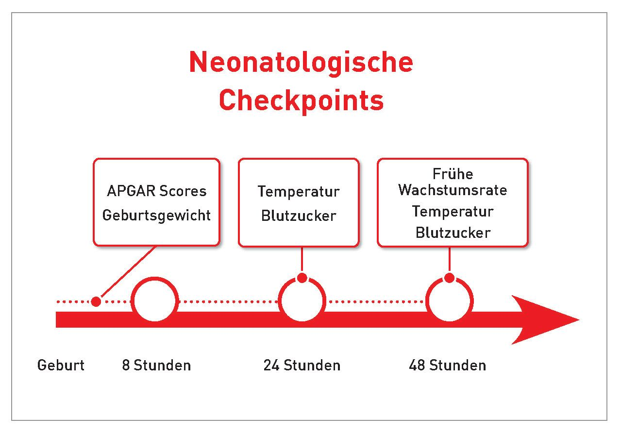 Faktoren, die das Erkennen von Hundewelpen mit erhöhtem neonatalem Mortalitätsrisiko während der ersten 48 Stunden nach der Geburt unterstützen 