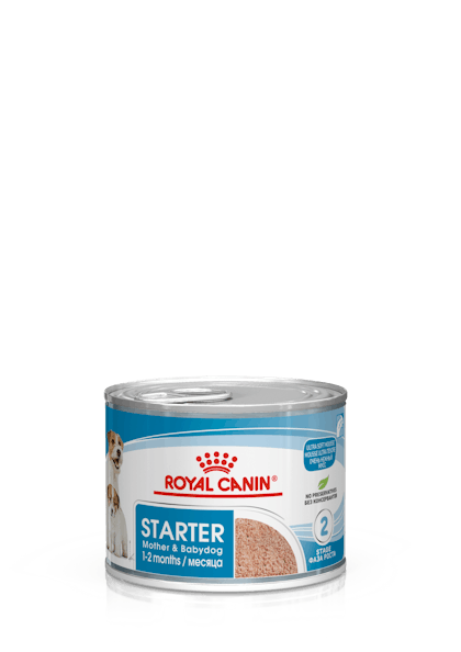 SOL - STARTER MOUSSE - WET - PACKSHOT - B1