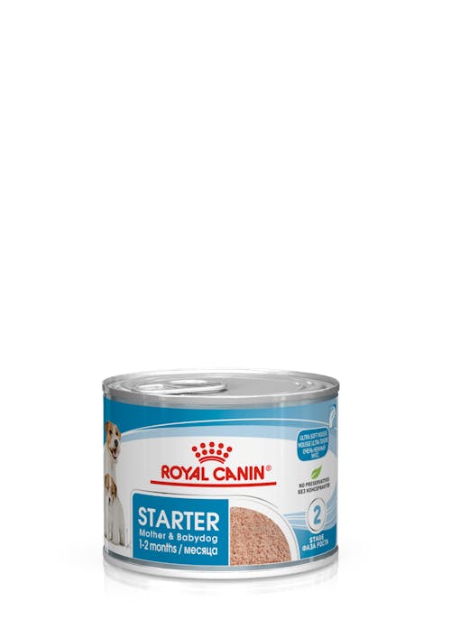 Starter Mother & Babydog Ultra Soft Mousse