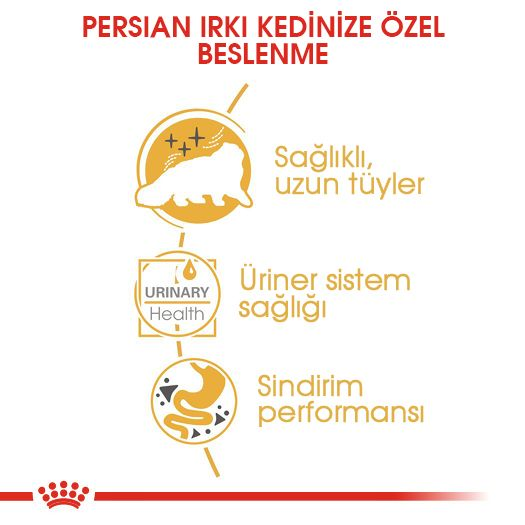 Persian Loaf Yetişkin Kedi Yaş Maması