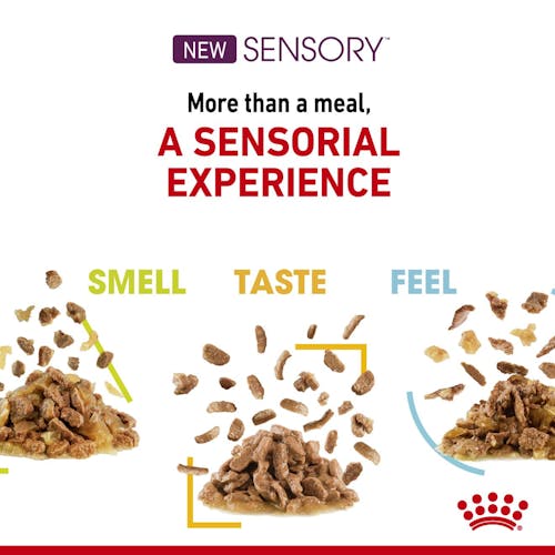 Sensory Smell Chunks In Gravy