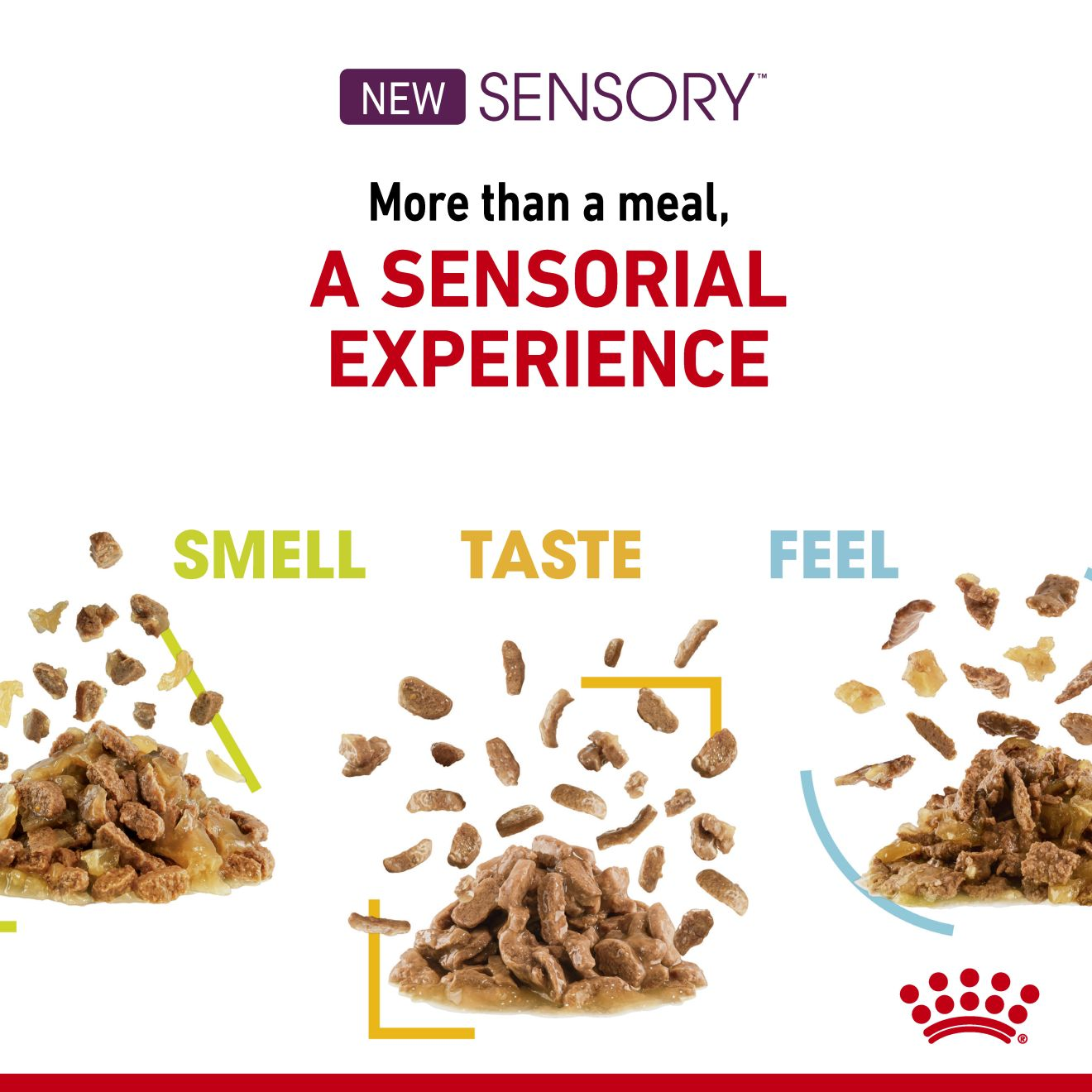 SENSORY™ SMELL - Hrană umedă (bucăți de carne în sos)