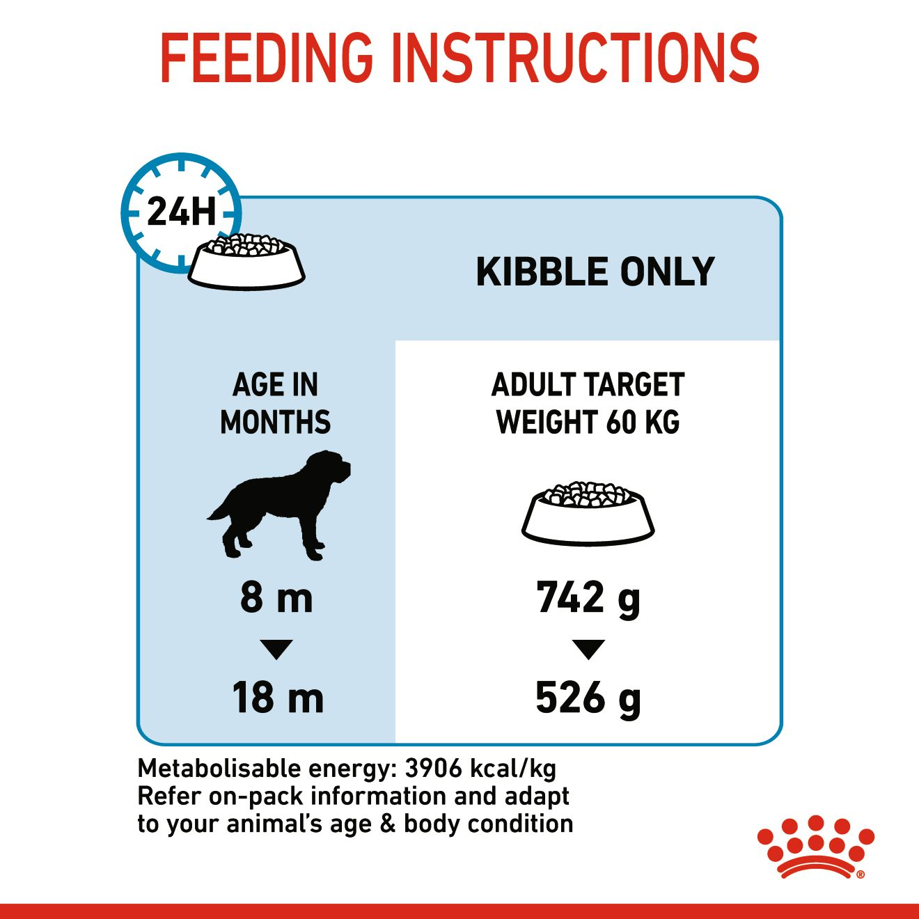 Royal canin junior puppy 2024 food