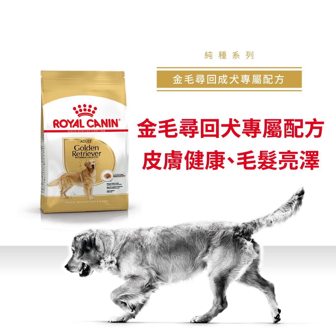 BHN 金毛尋回成犬專屬配方