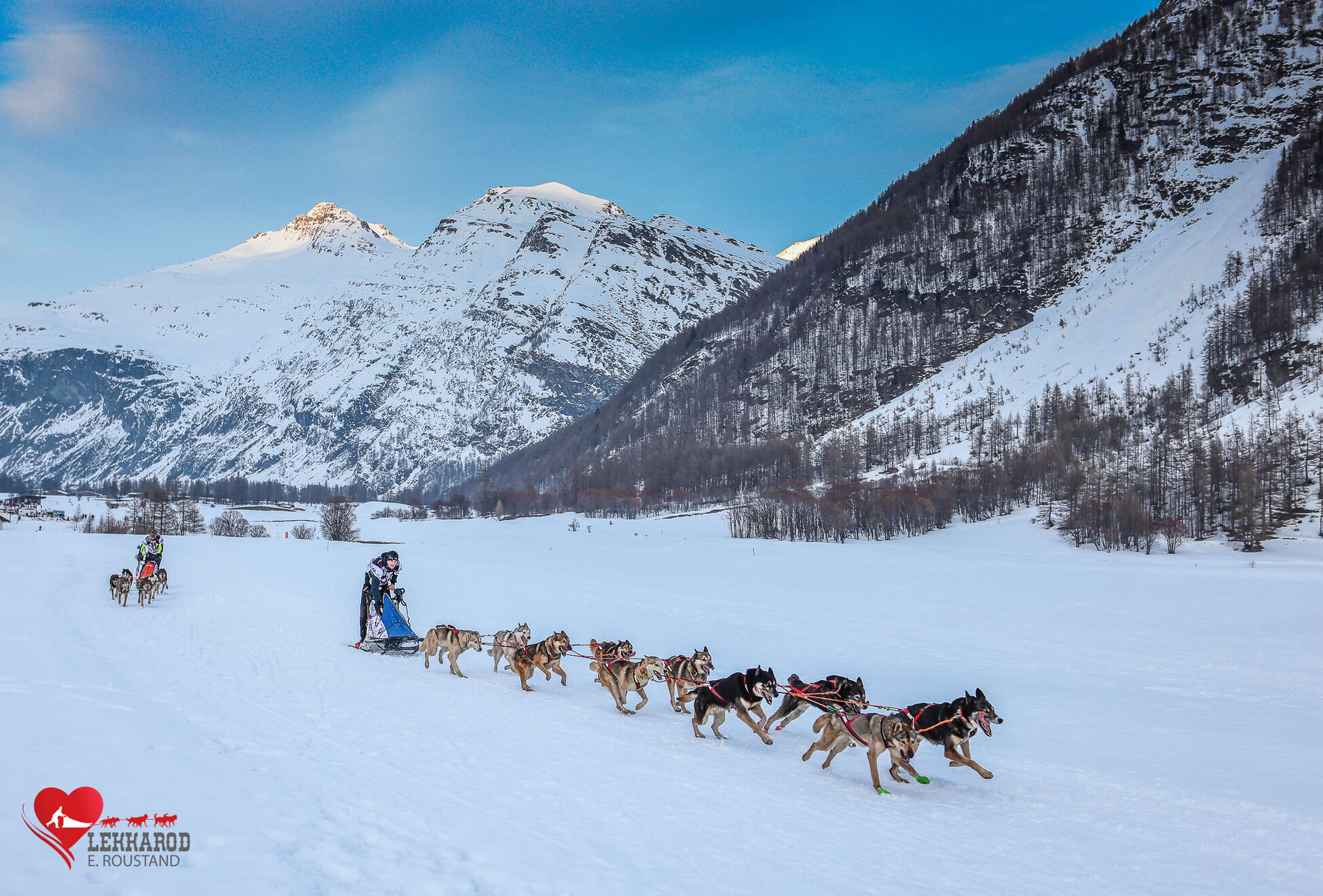 Royal Canin partenaire de la LEKKAROD 2024