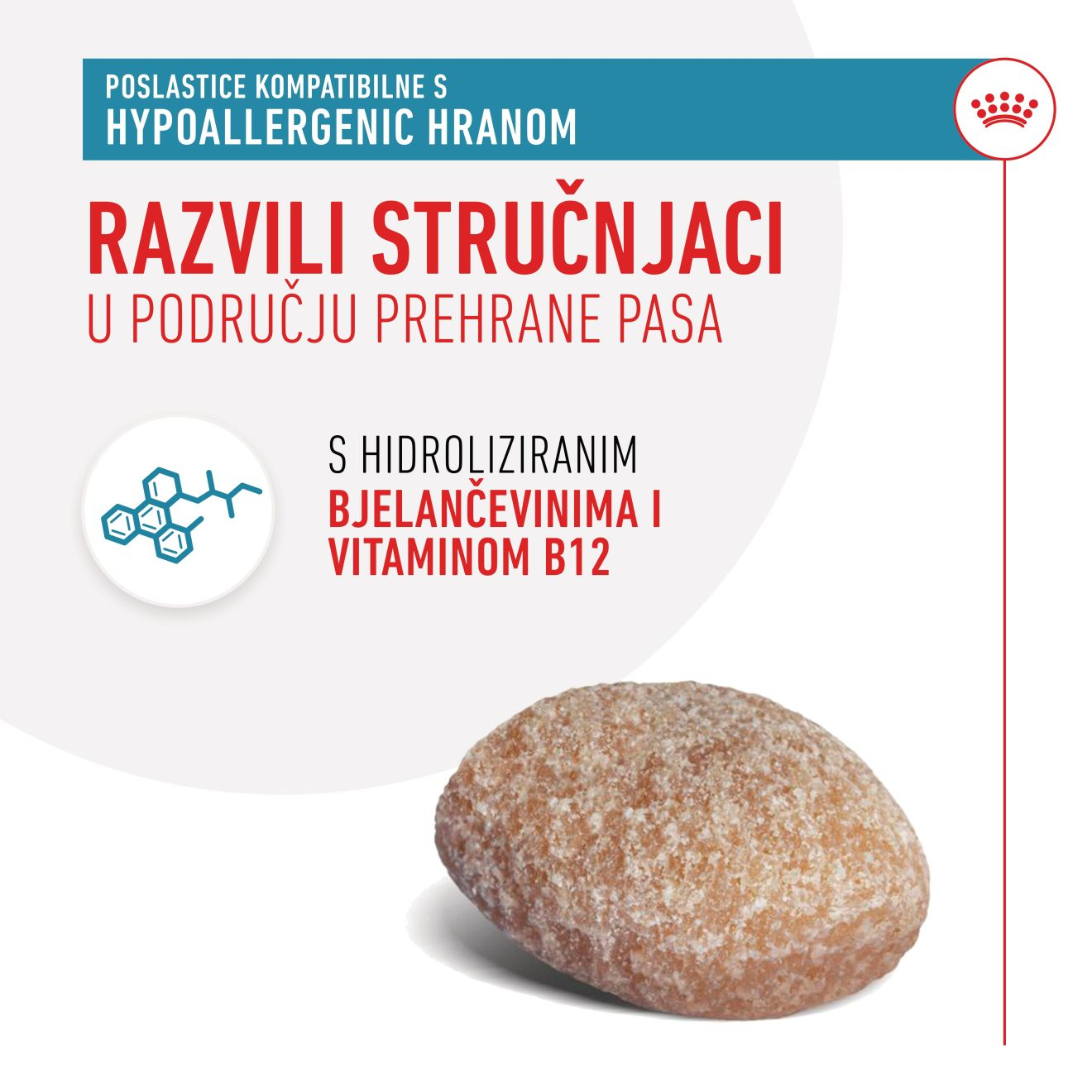 HYPOALLERGENIC VETERINARSKE POSLASTICE