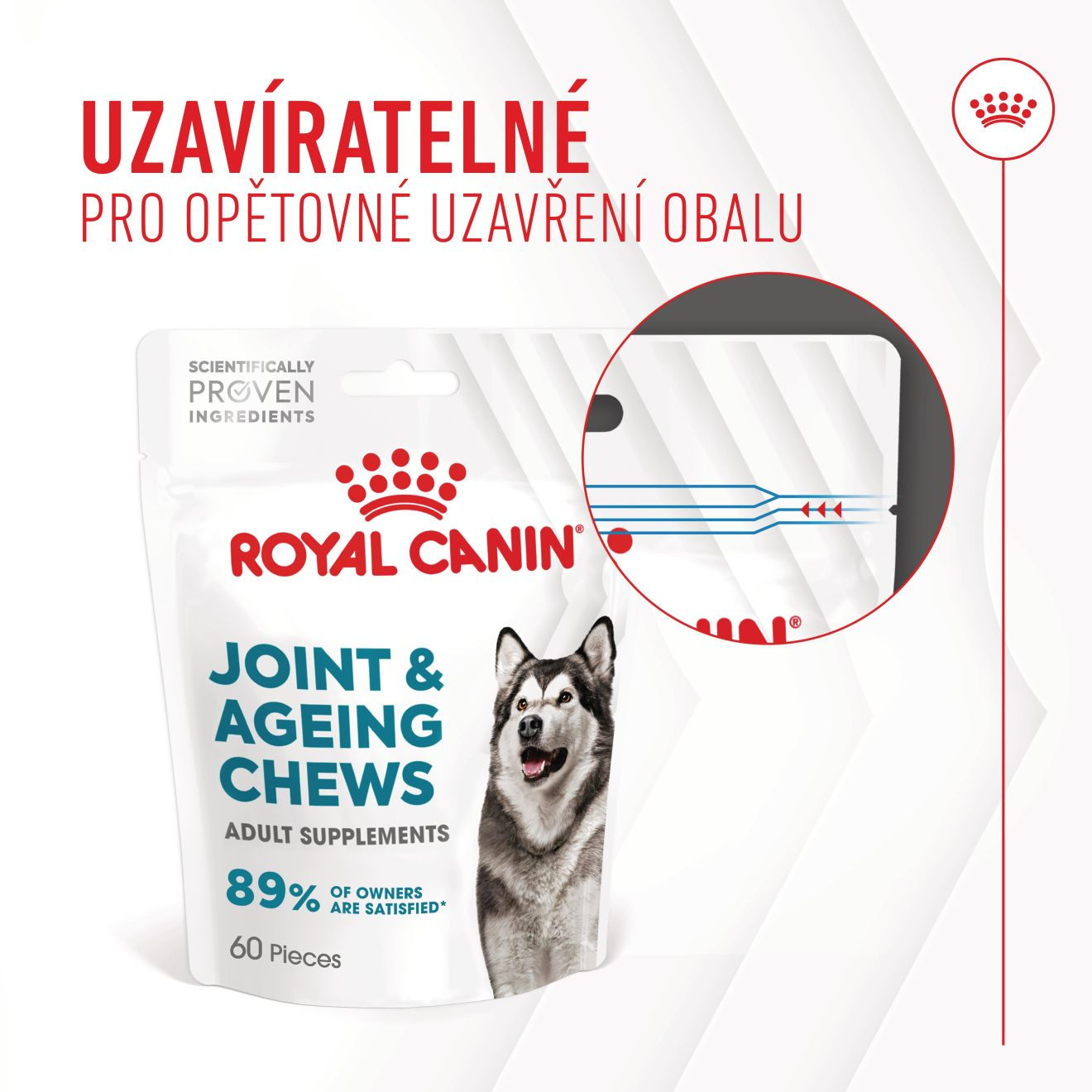  Supplement Dog Joint & ageing chews
