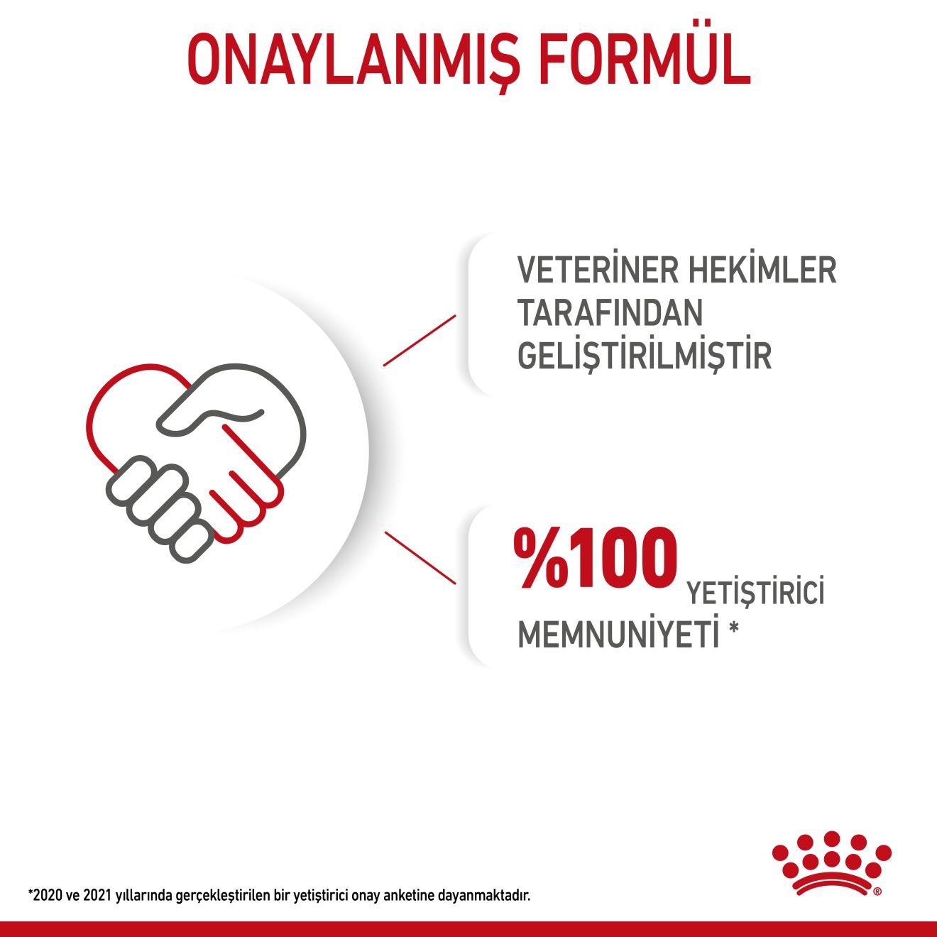 Maxi Starter Yavru Köpek Kuru Maması