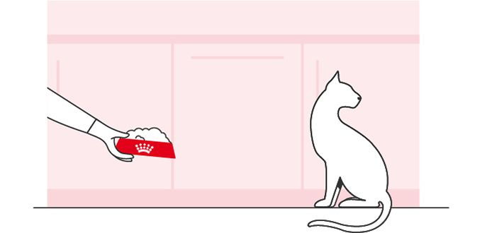 Ilustración de un gato alejándose de un comedero rojo