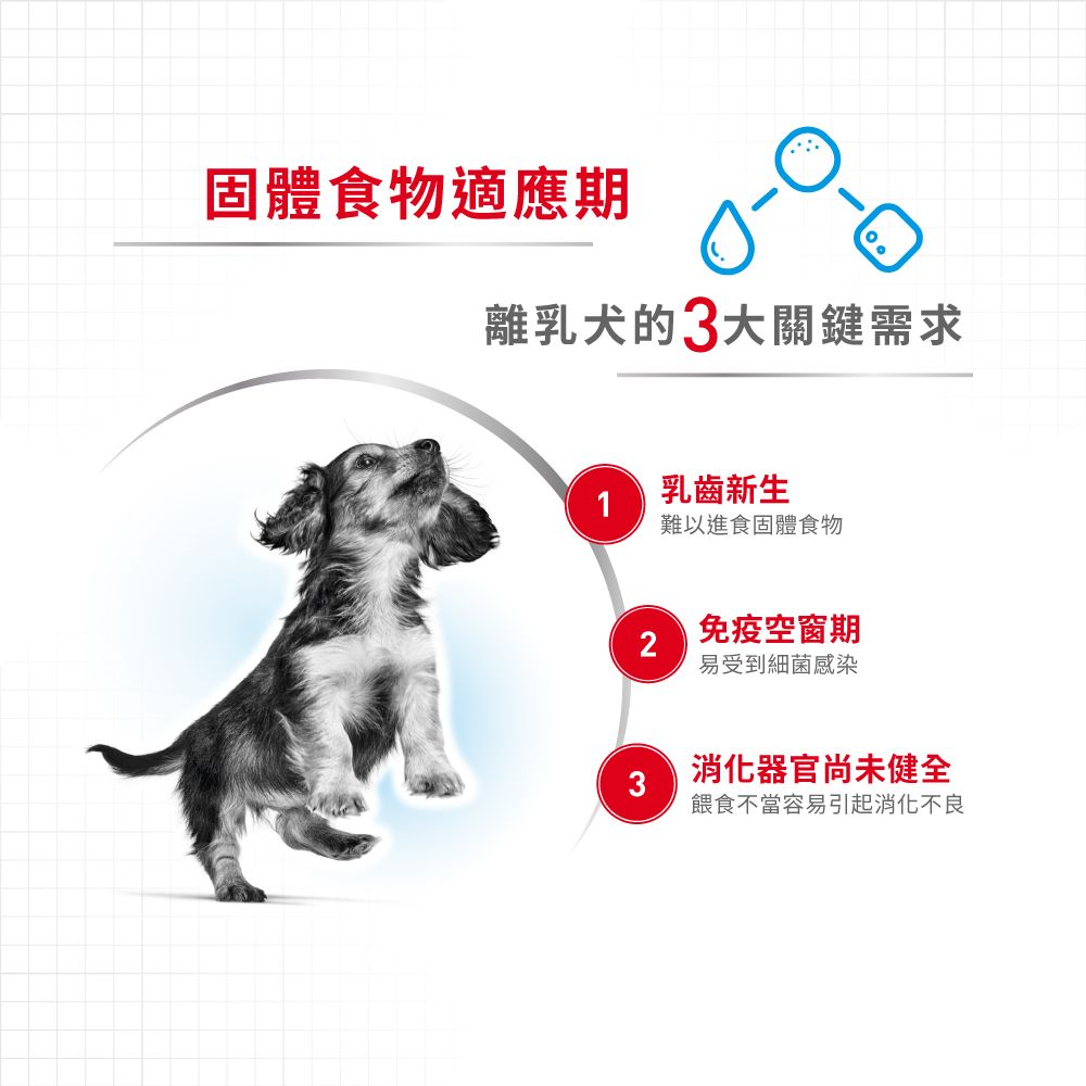 SHN 初生犬及母犬營養主食罐頭