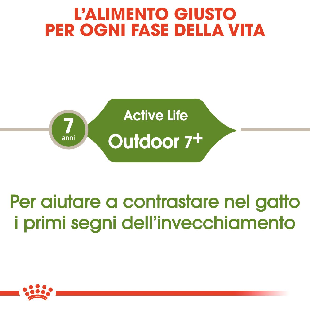 Outdoor 7+