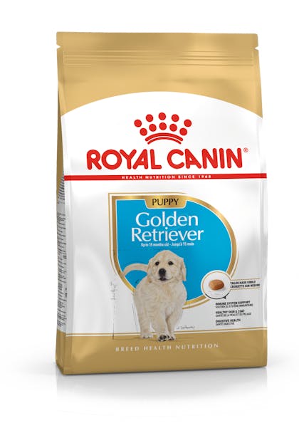 Golden Retriever Puppy Dry Royal Canin