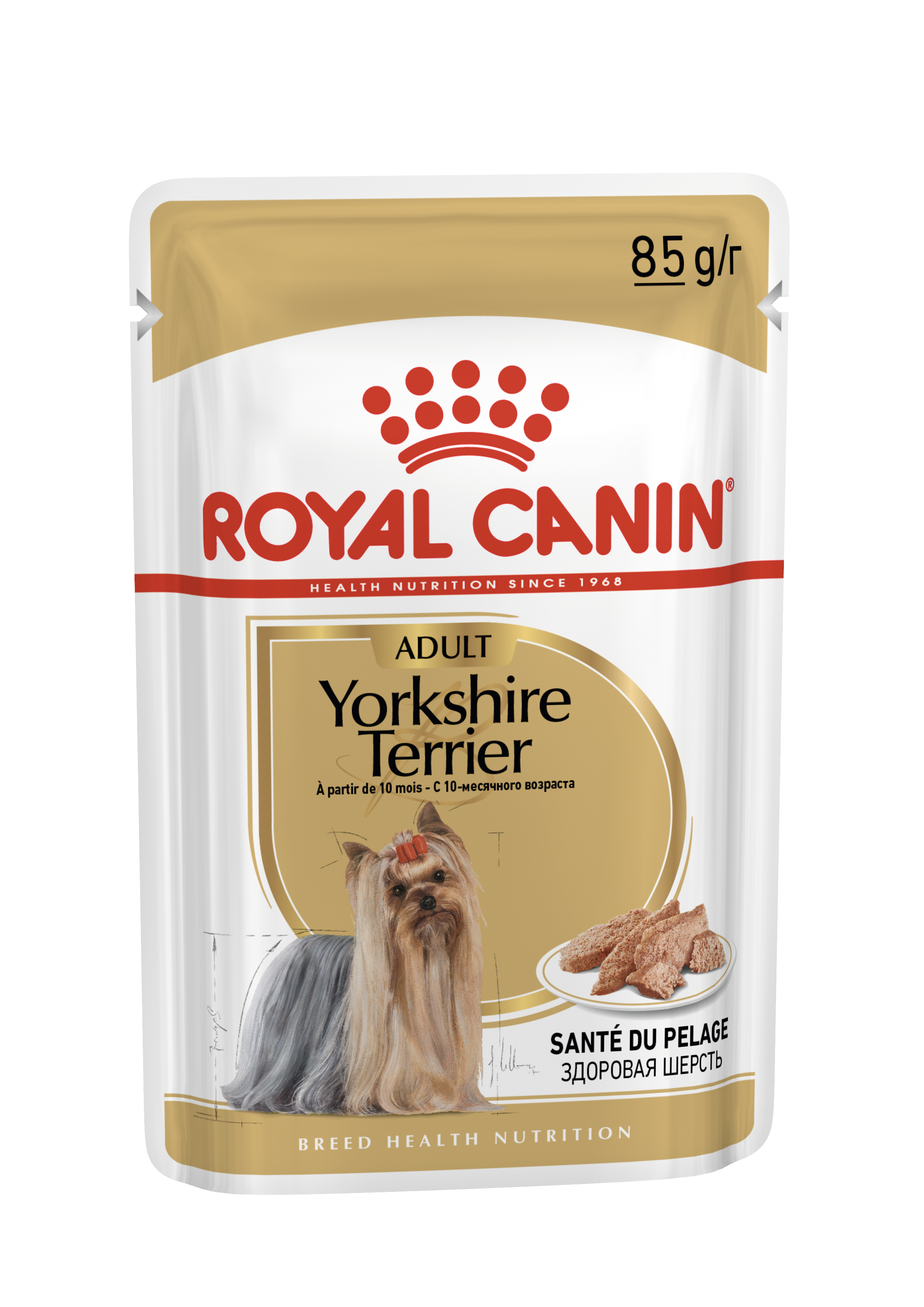 Yorkshire Terrier Basah Royal Canin