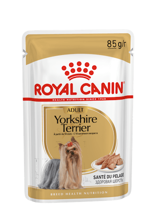 BHN Yorkshire Terrier Adult Dog (Loaf)