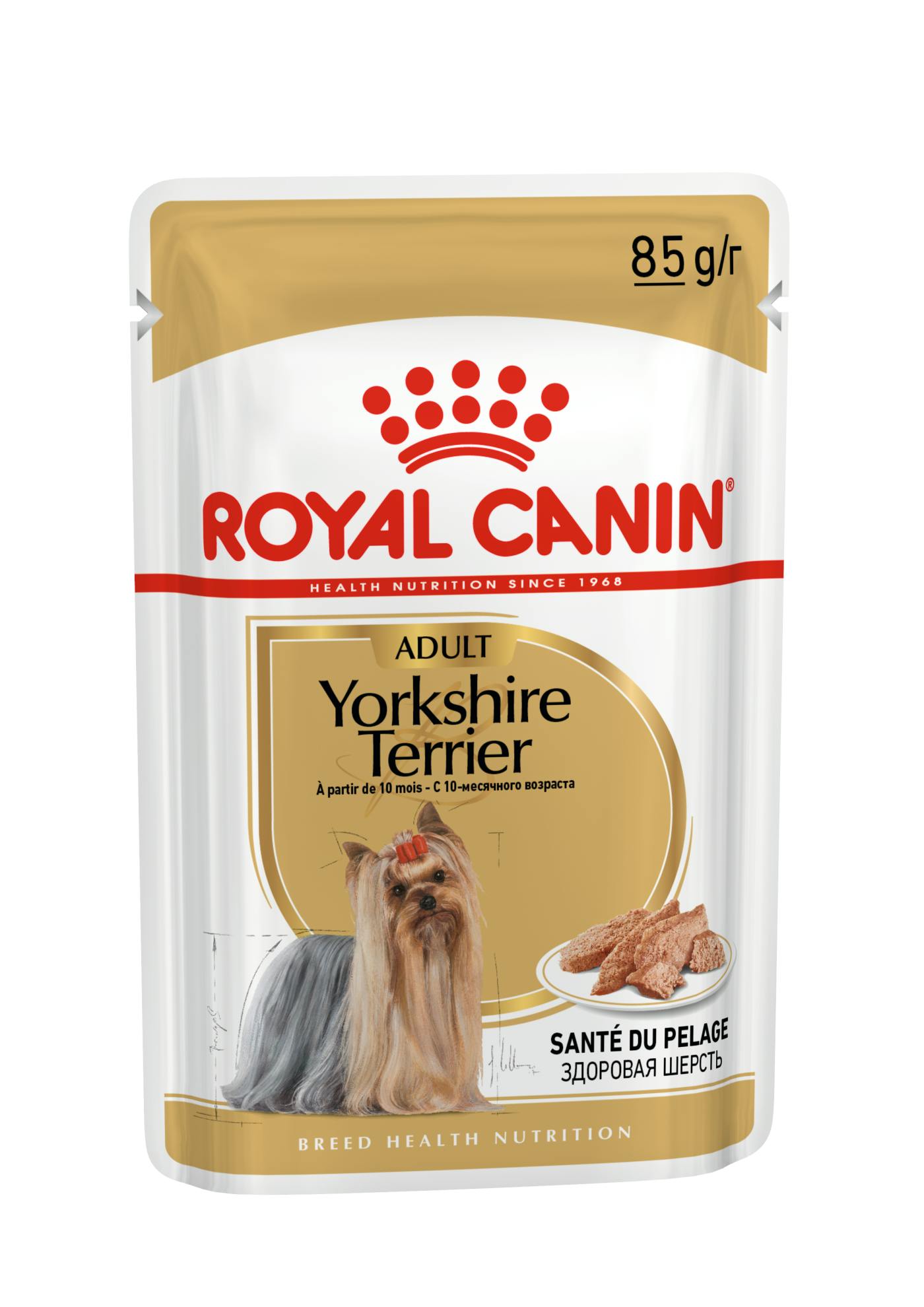 Pino Intermedio Célula somatica Yorkshire Terrier wet | Royal Canin