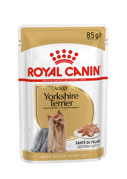 Royal canin 2024 puppy yorkshire