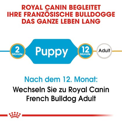RC-BHN-Puppy-French-Bulldog-Trockennahrung_2-Monate_DE